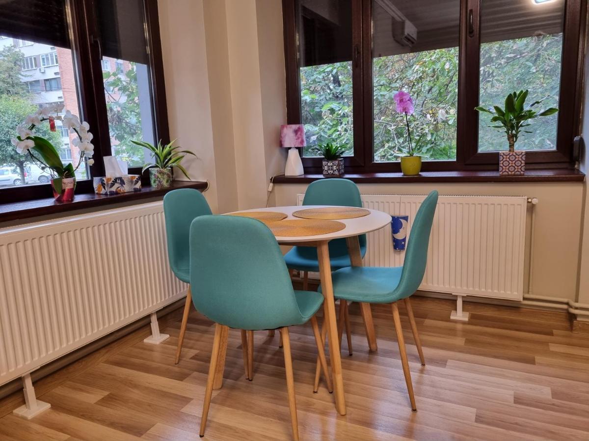 City Inn Premium Apartment 2 蒂米什瓦拉 外观 照片