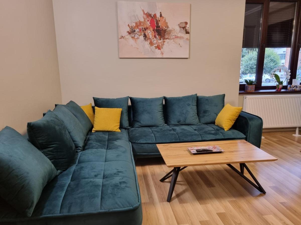 City Inn Premium Apartment 2 蒂米什瓦拉 外观 照片