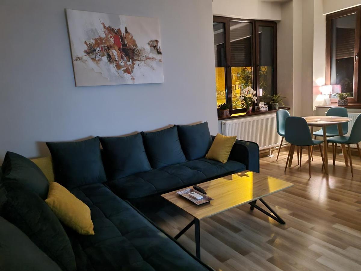 City Inn Premium Apartment 2 蒂米什瓦拉 外观 照片